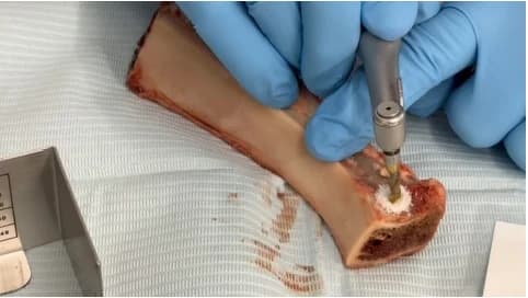 Crown Down cortical drill preparing a bench osteotomy on a bovine rib, showing the transition from the outer cortical layer to the underlying trabecular bone.